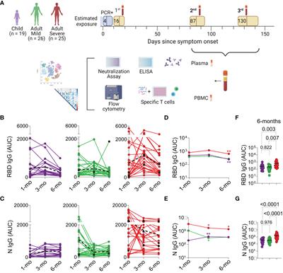 SARS-CoV-2 infected children form early immune memory responses dominated by nucleocapsid-specific CD8+ T cells and antibodies